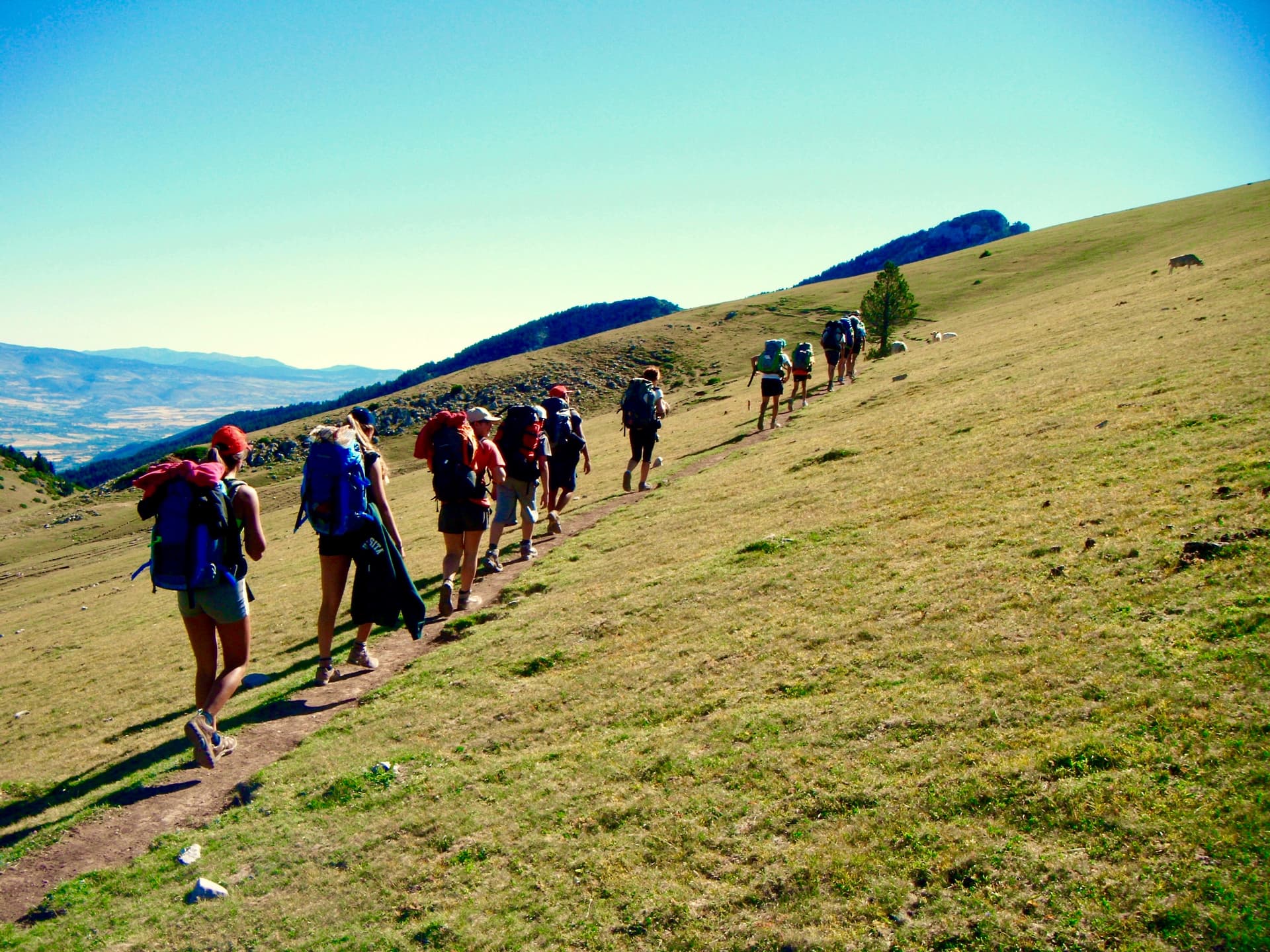 Junior Trekking 7x7