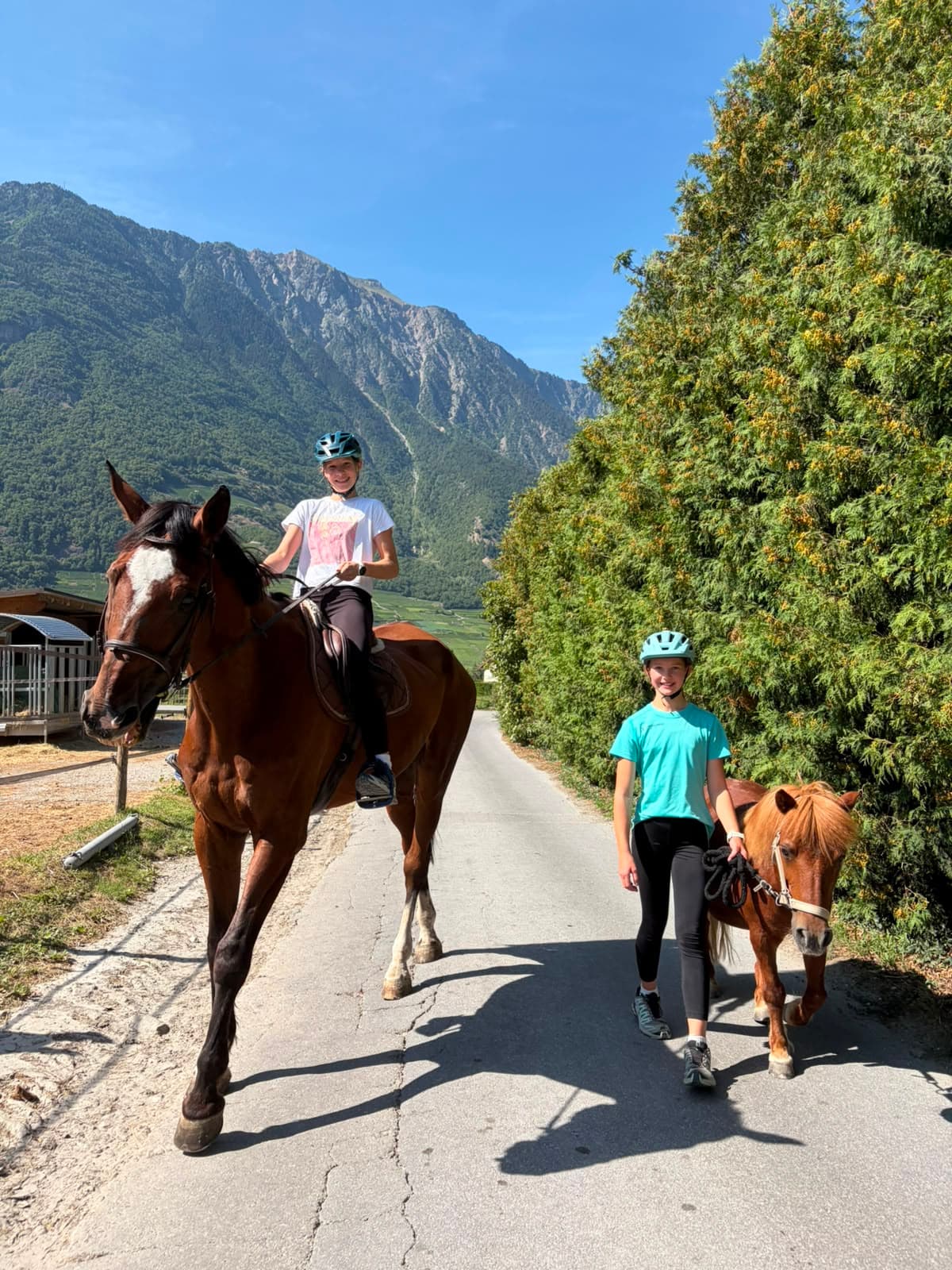 friLingue Summer & Winter Camp Braunwald