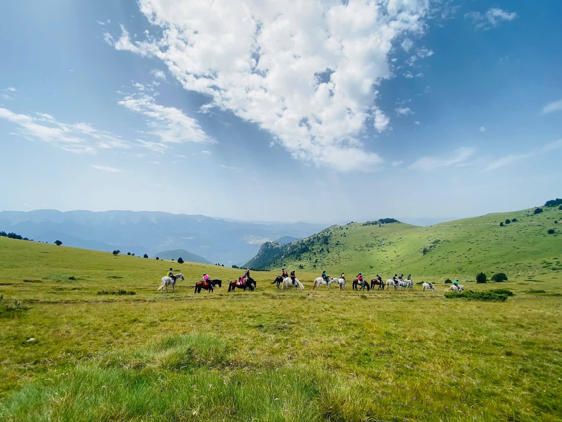 Pyrene Summer Camp