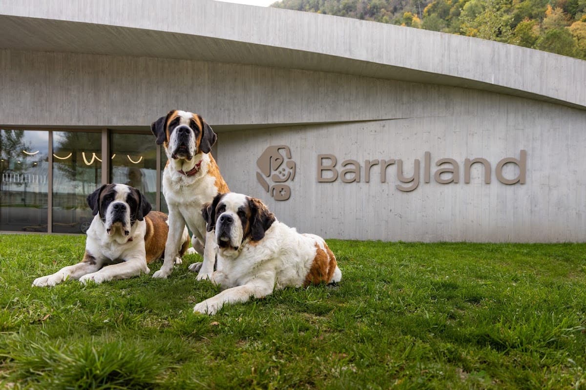St Bernard Dog Museum