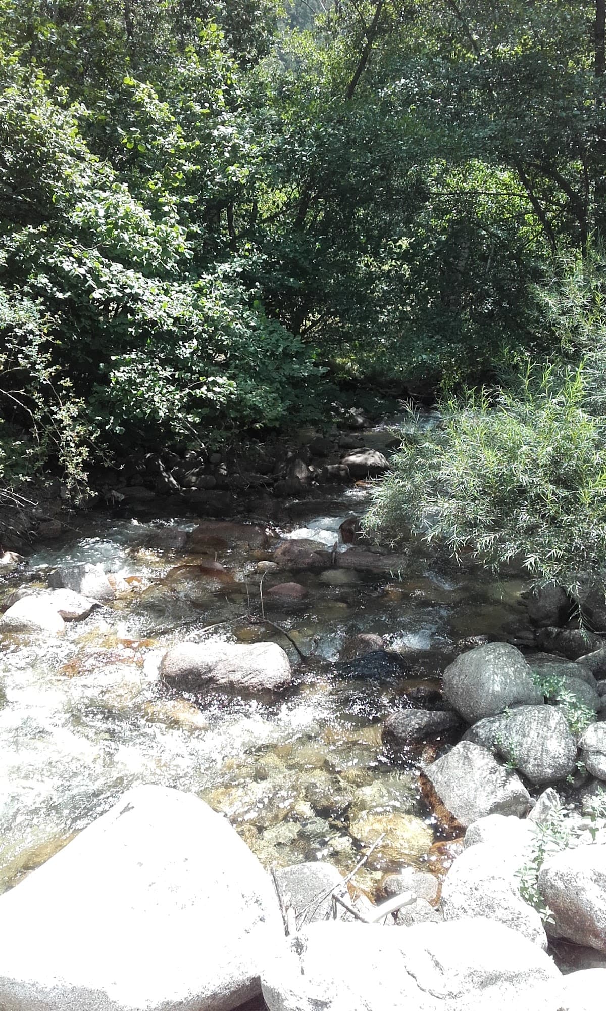 Riu de la Llosa