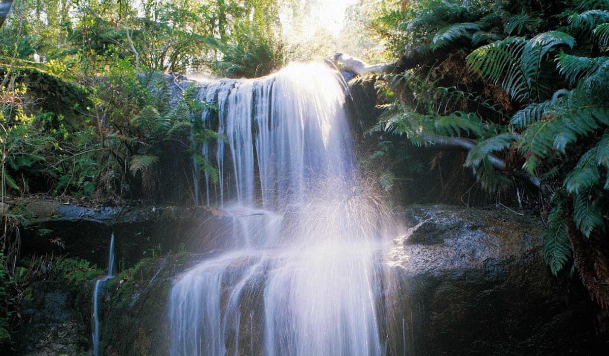 Caminhada de um dia no Mount Buangor National Park