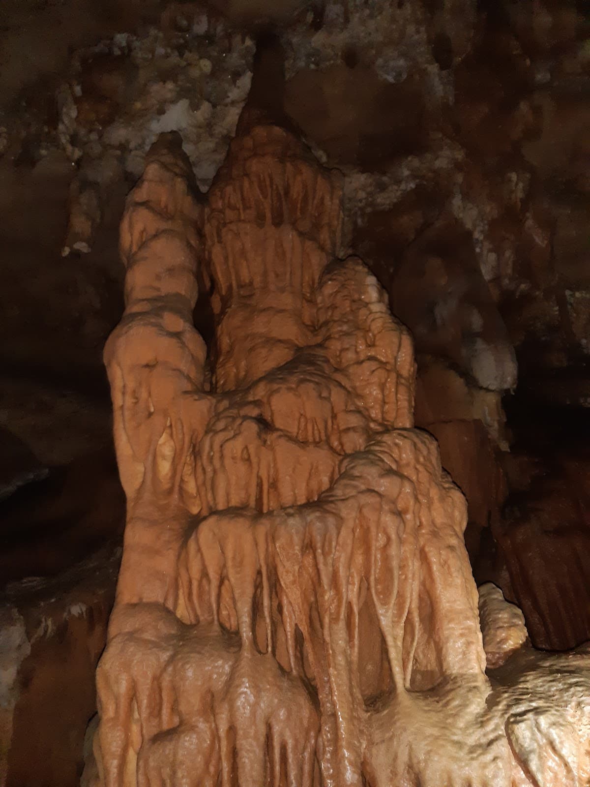 Cova d'Anes