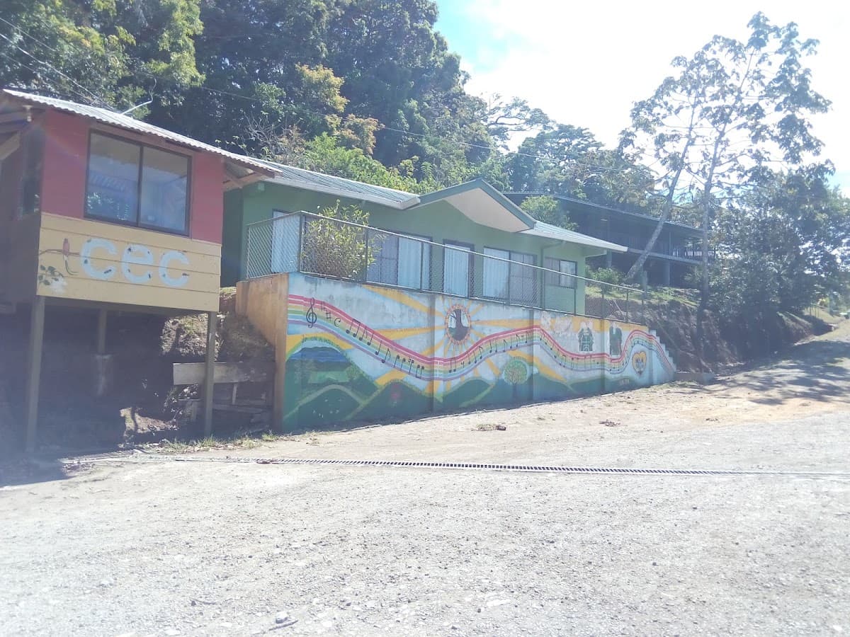 Local primary school eco-project