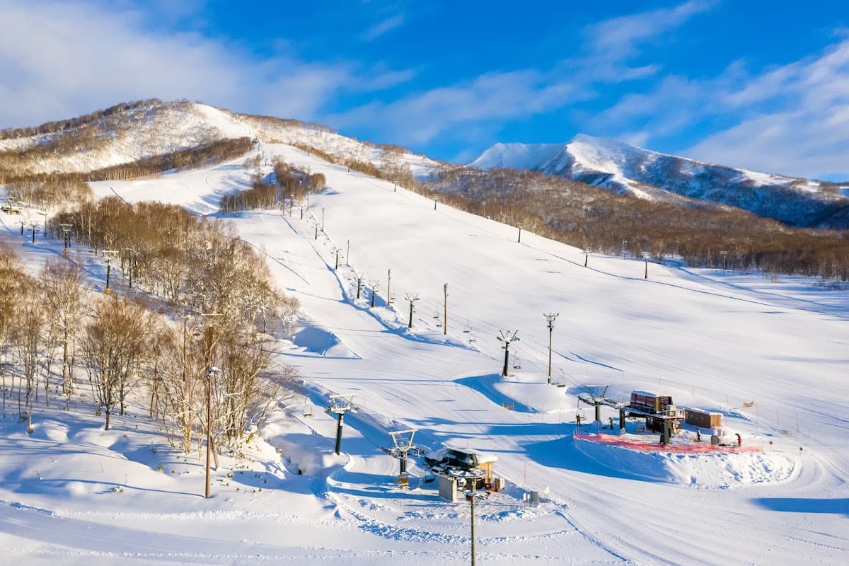 Niseko business discovery walk