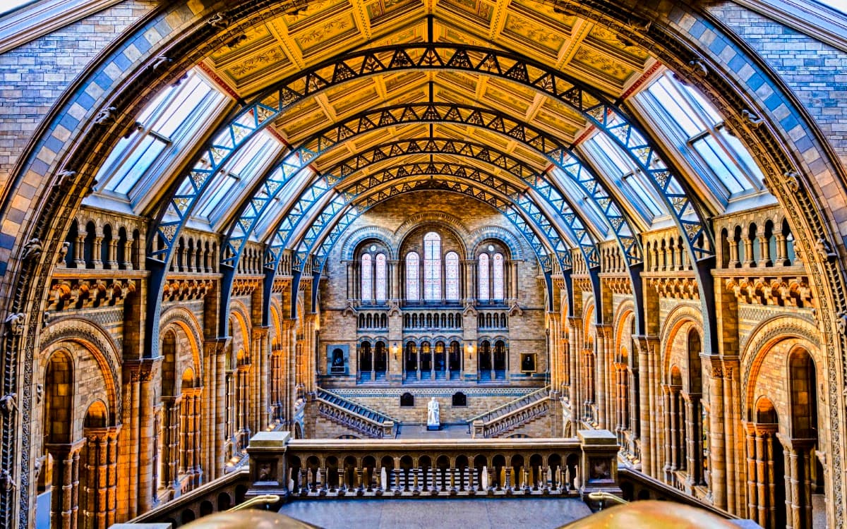 Besuch des Natural History Museum