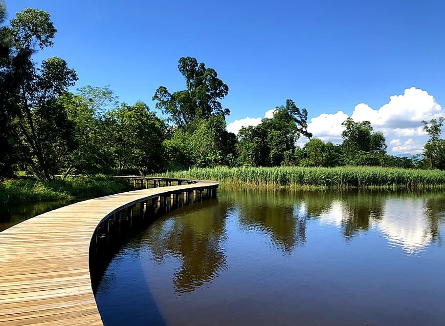 Eco Wetlands walk