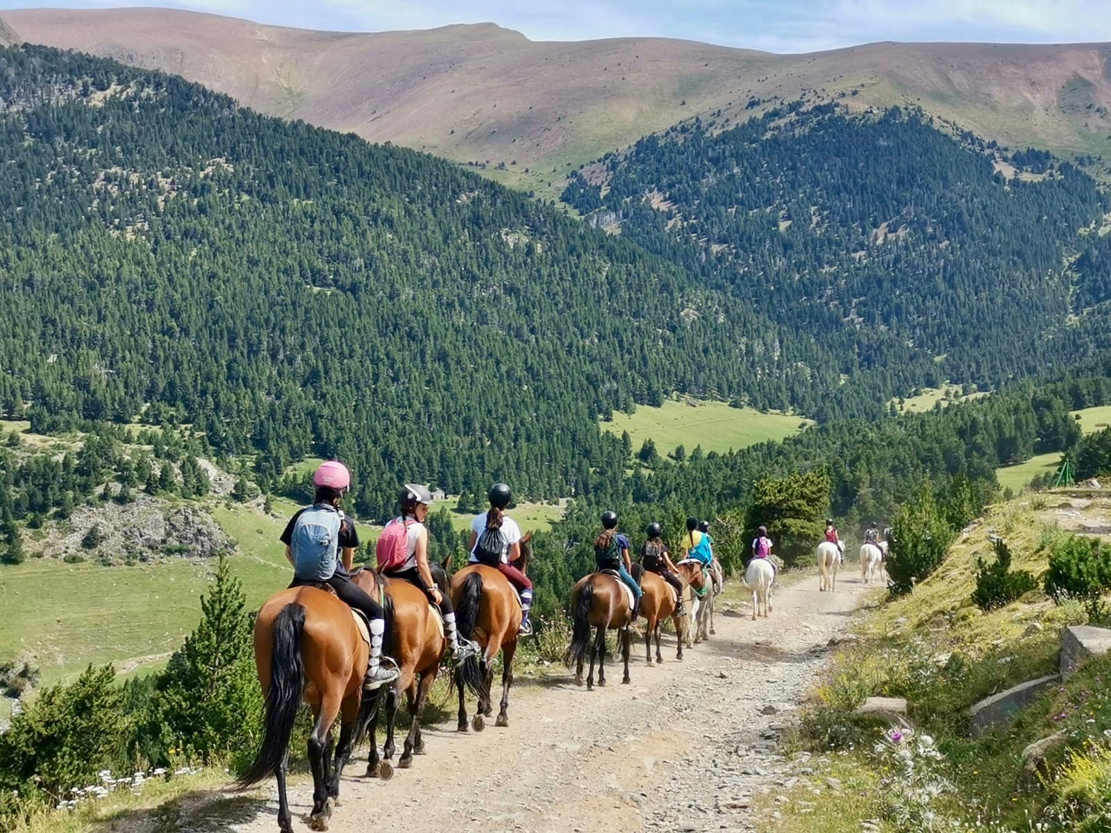 Pyrene Summer Camp · Advanced Horse Riding