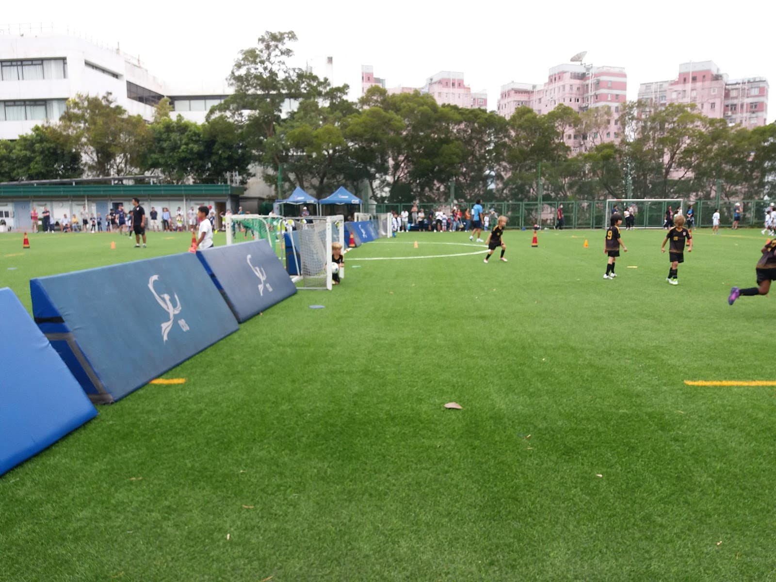 Chinese International School - Experiential Learning Summer Camp