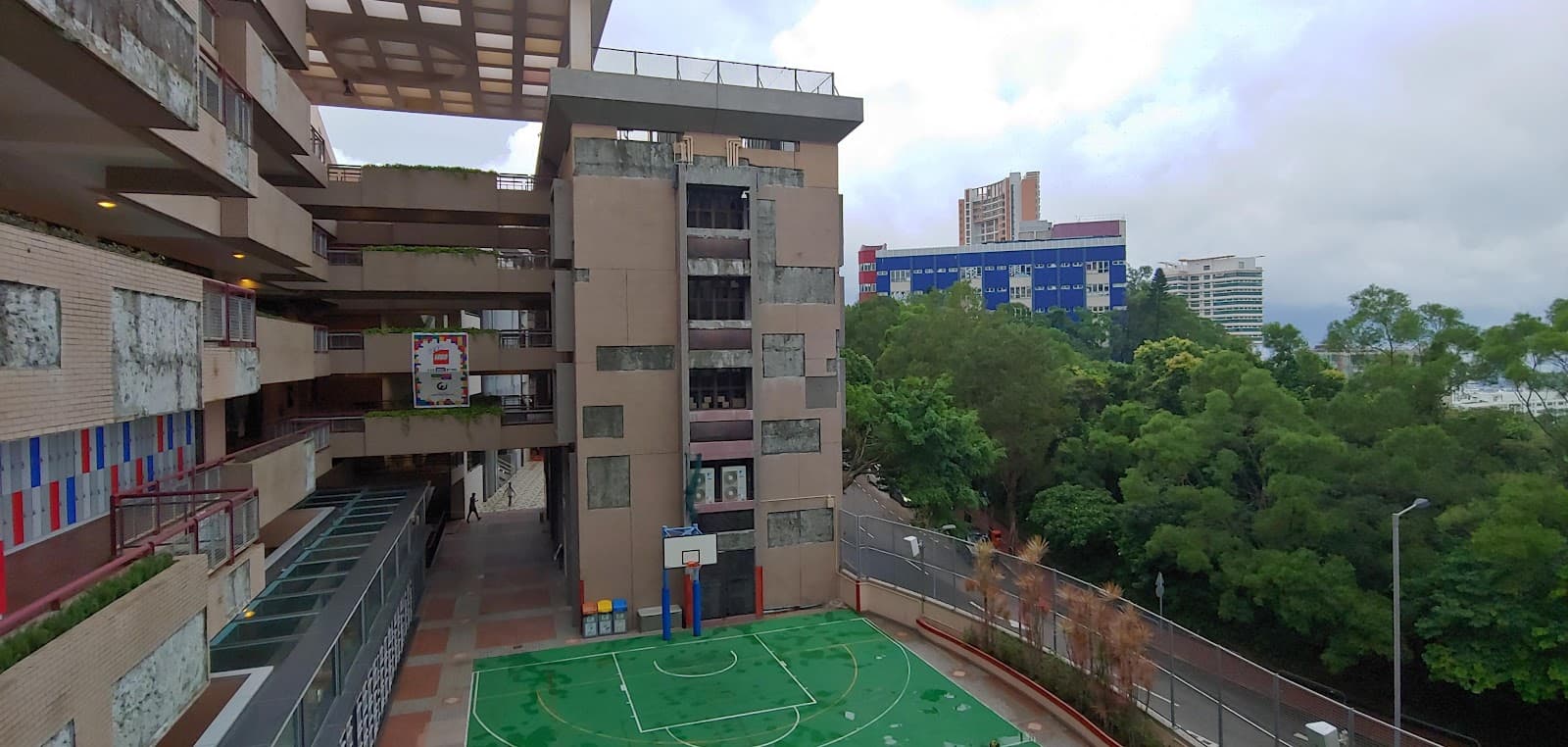 Chinese International School - Experiential Learning Summer Camp