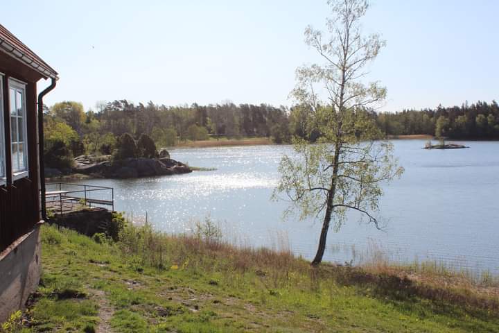 Kollo på Barnens Ö Summer Camp