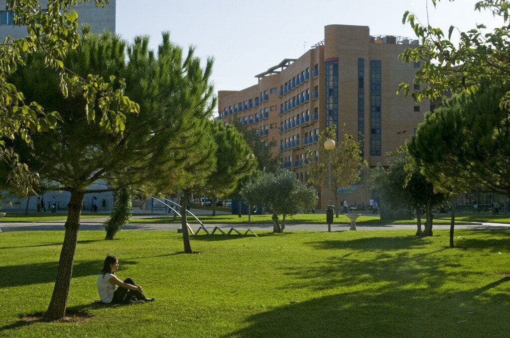 AIP LANGUAGE INSTITUTE
