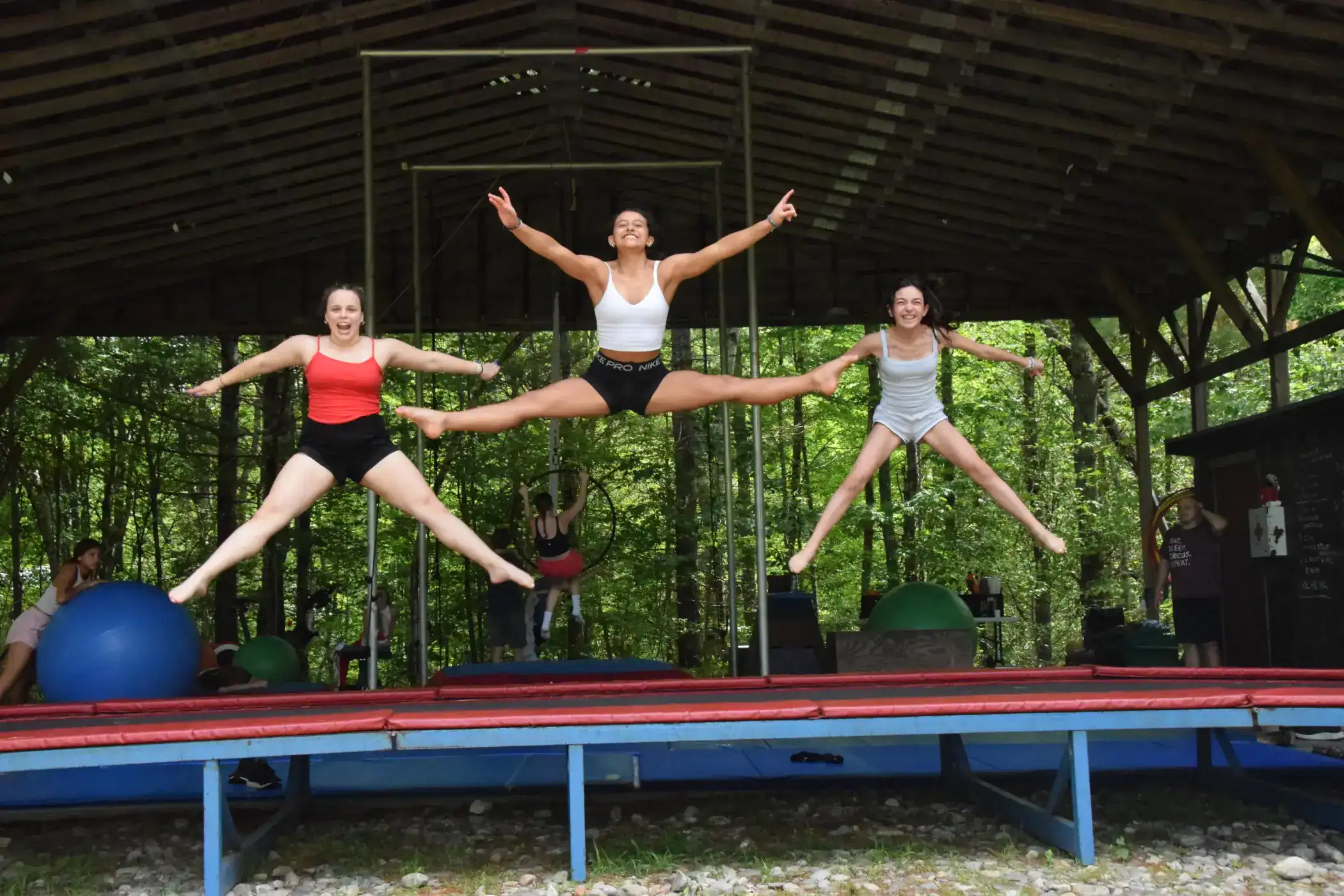Camp Med-o-lark