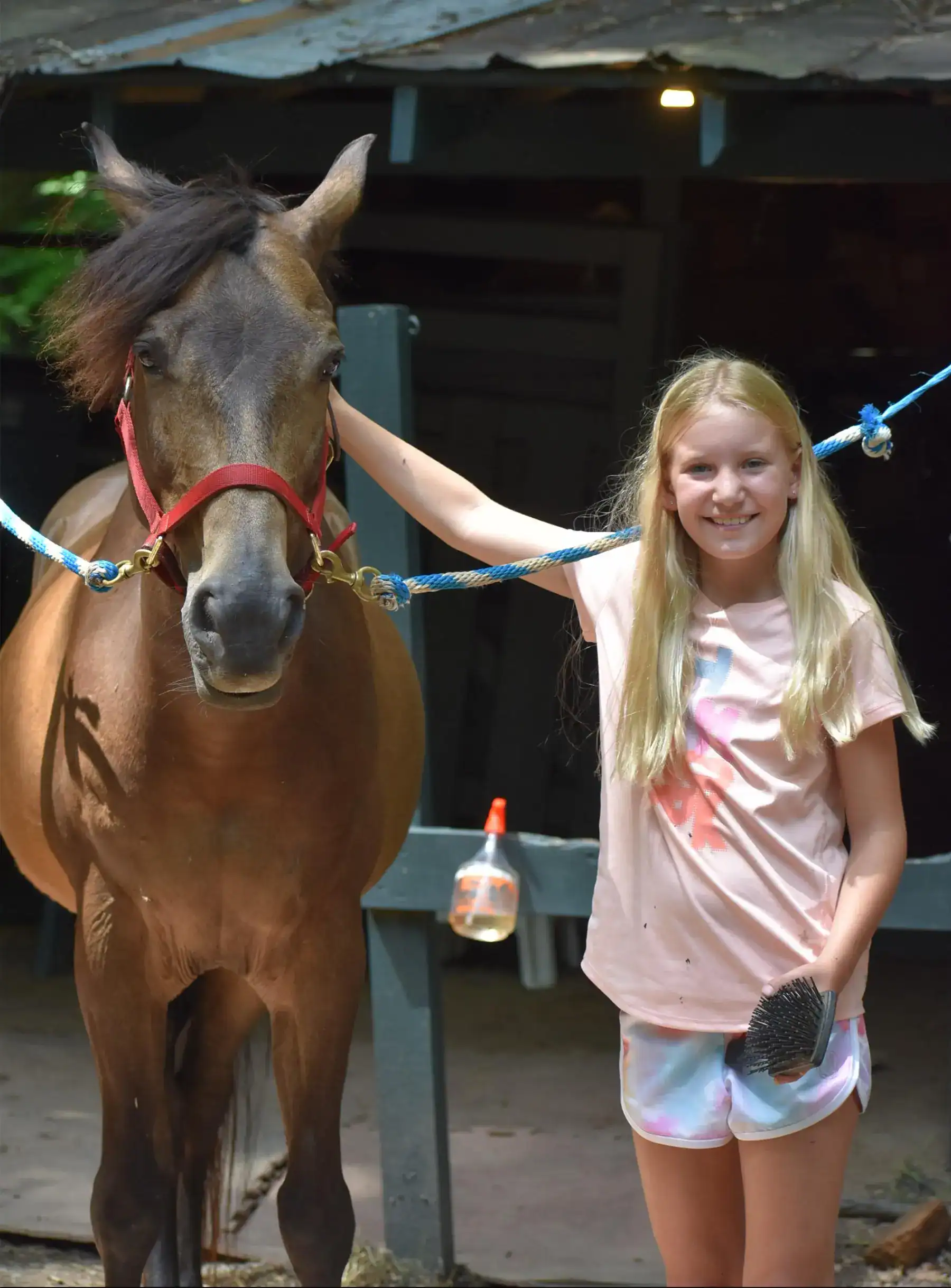 Camp Ton-A-Wandah Summer Hendersonville