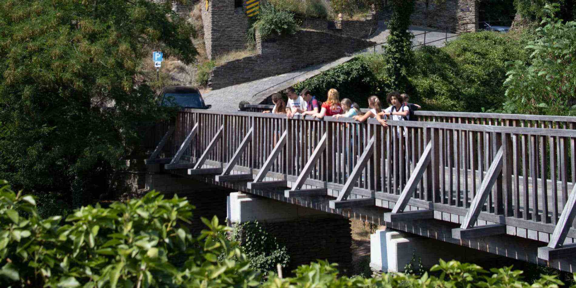 did deutsch-insitut Summer Language Camp Oberwesel