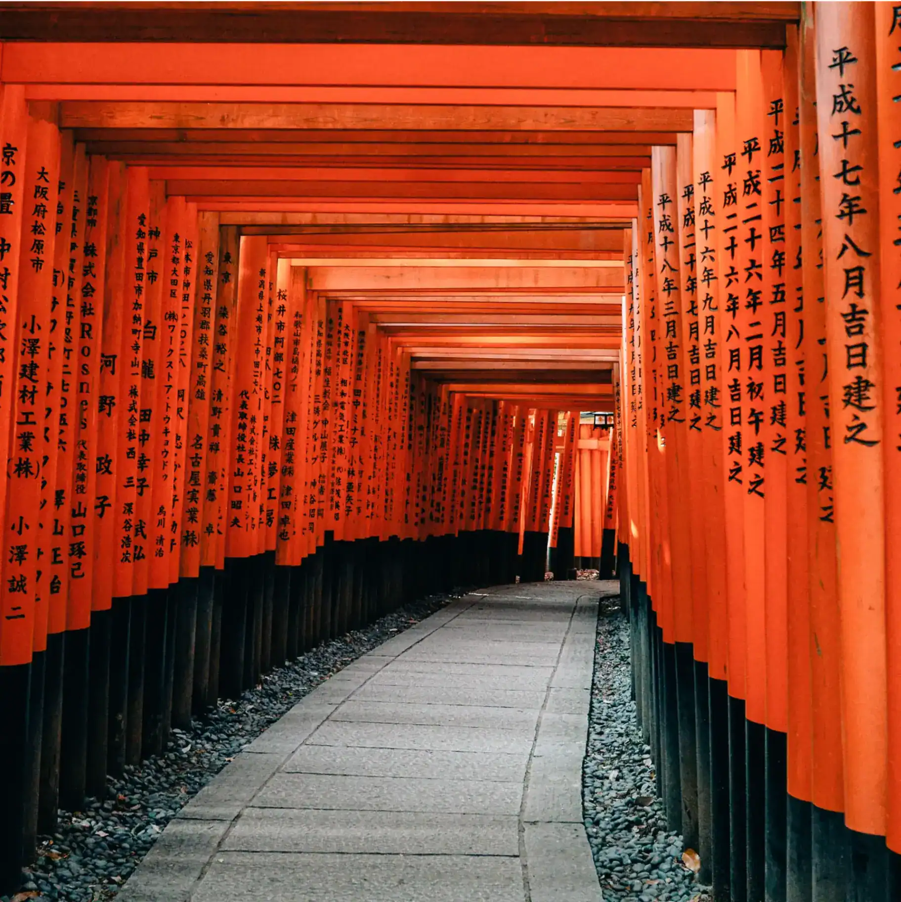 EF Tokyo