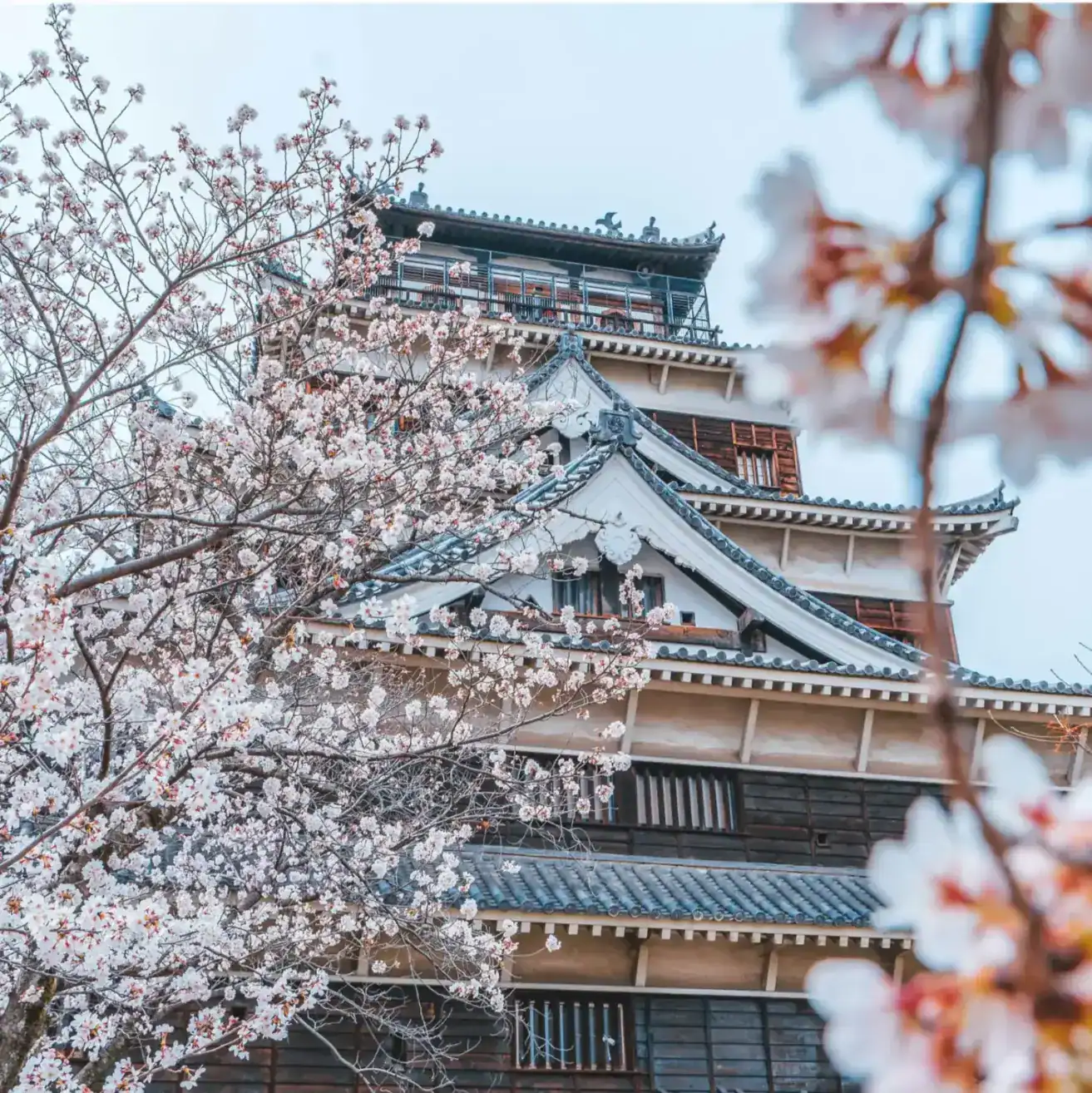 EF Tokyo