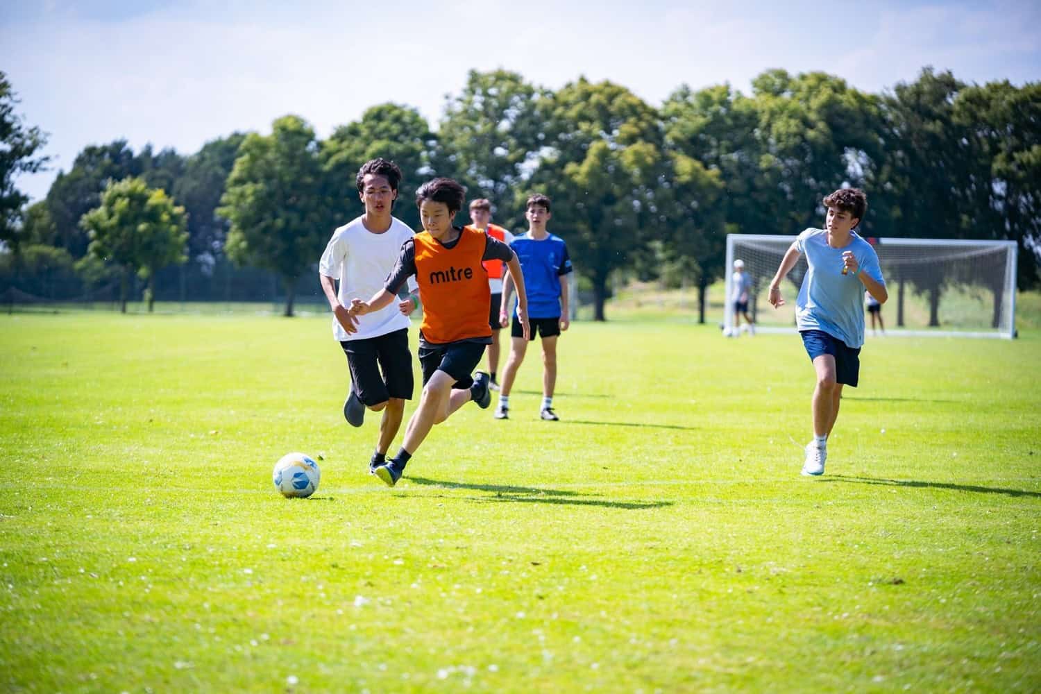 Felsted International Summer School
