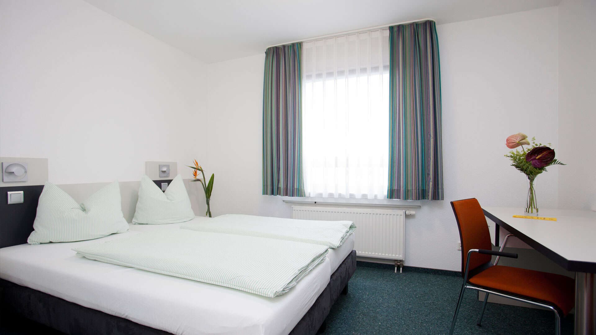 Summer Courses in Cologne