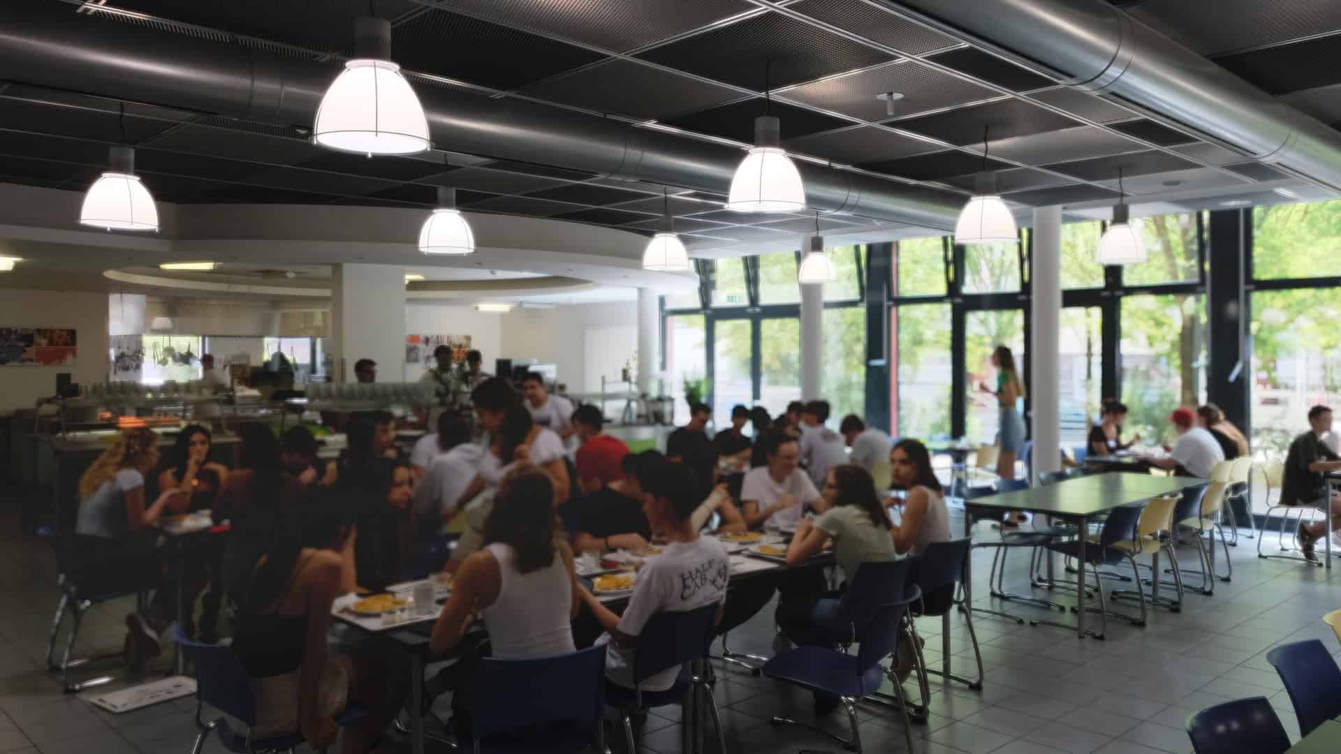 Summer Courses in Cologne
