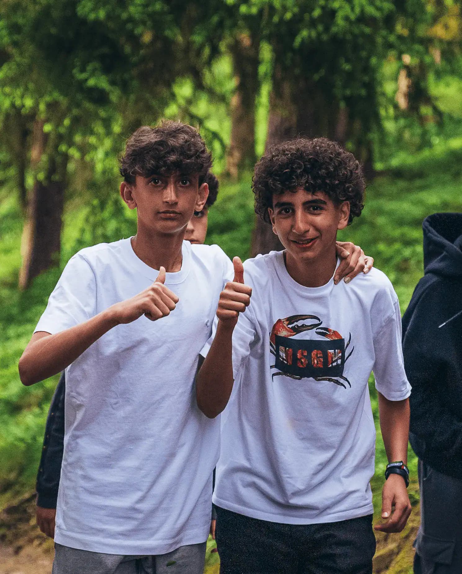 Les Elfes Summer Camp