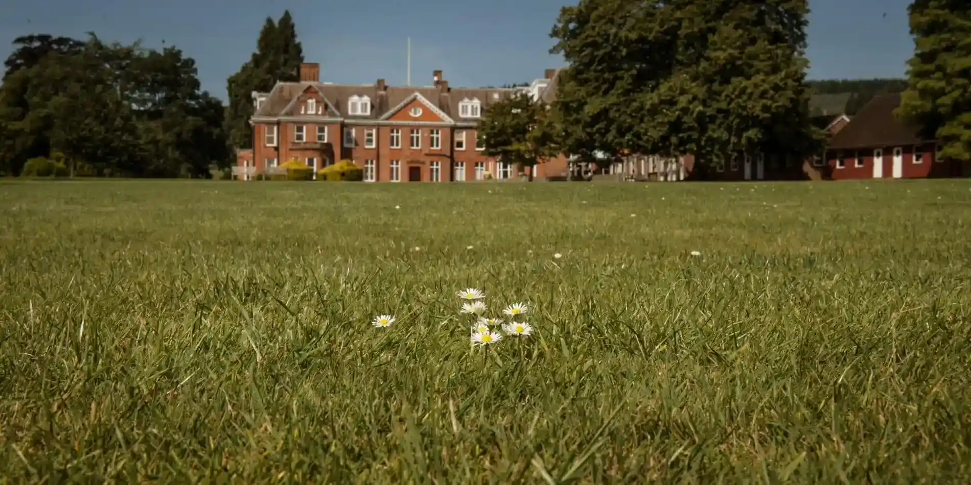 More Than English Summer Camp Ludlow