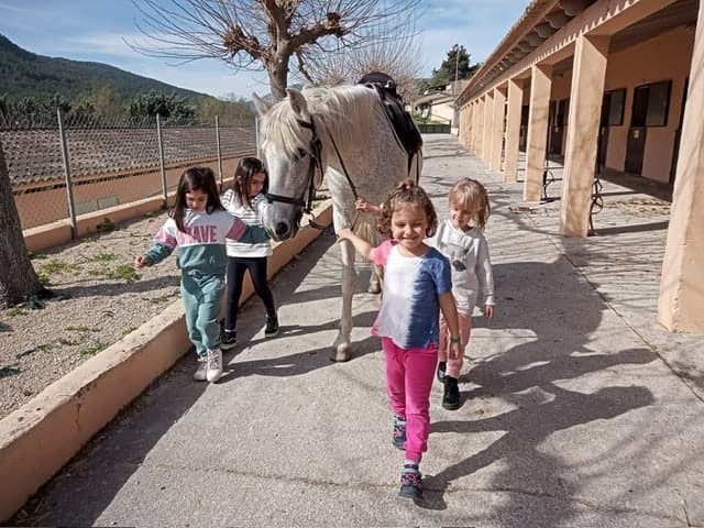 Port Calanova Summer Language Camp Sant Agustí