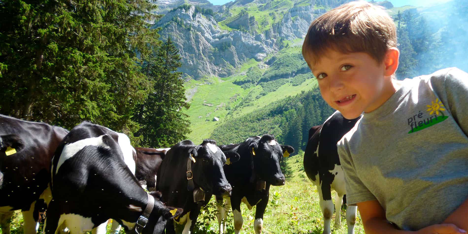 Camps d'été