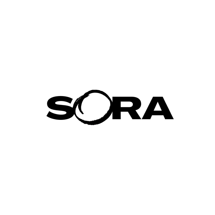 Sora Schools | Online Summer Camps