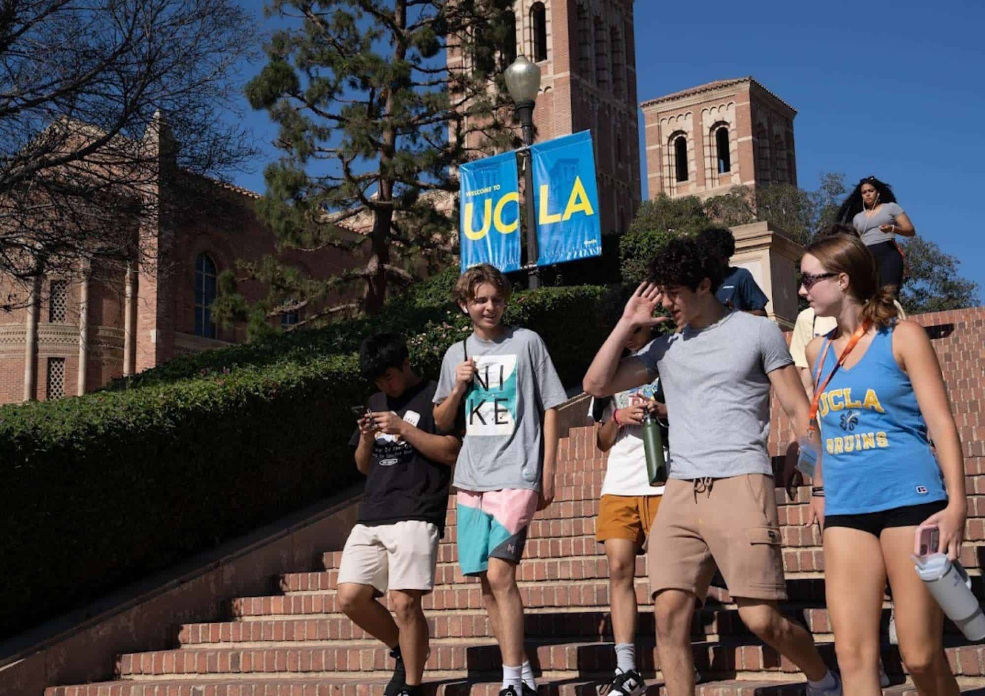 Summer Springboard @ UCLA