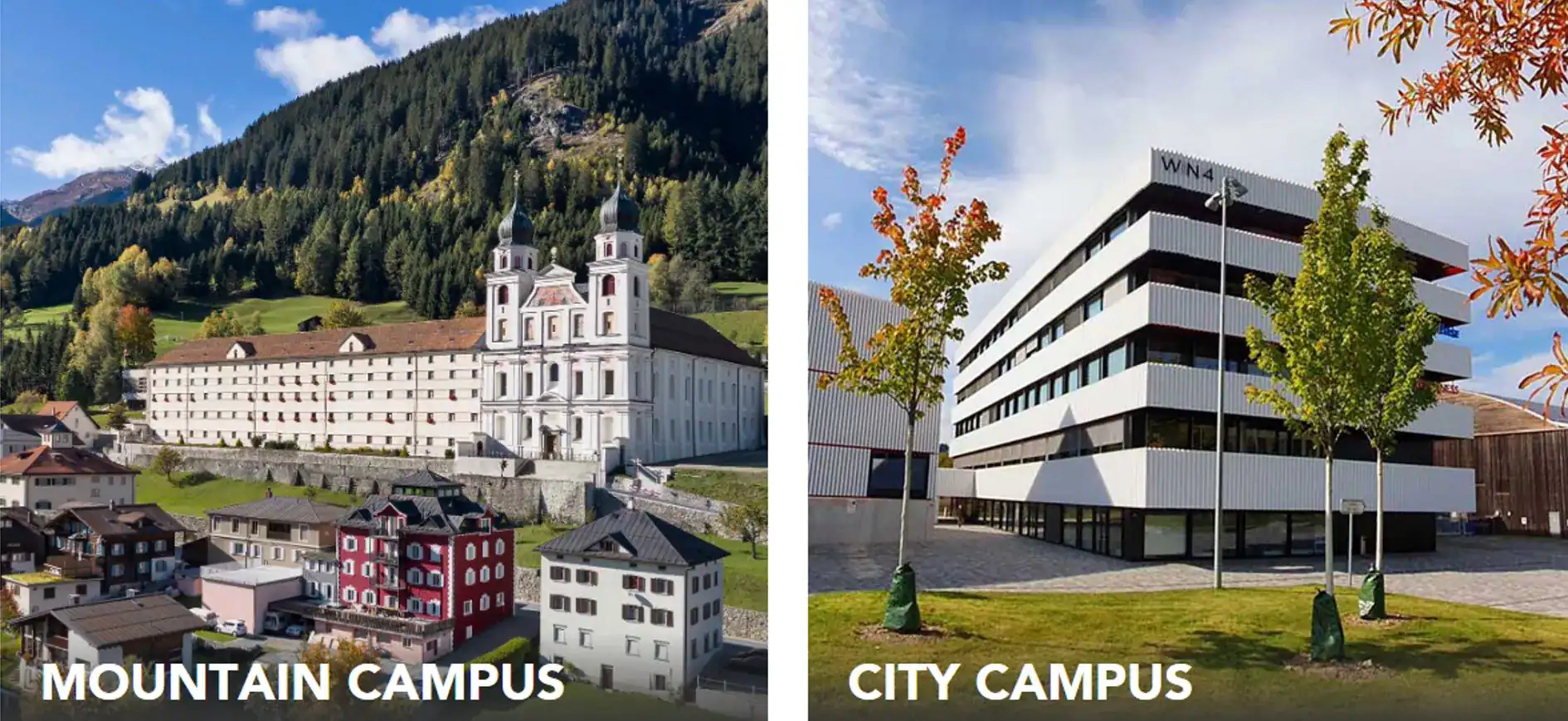 Holiday Camps