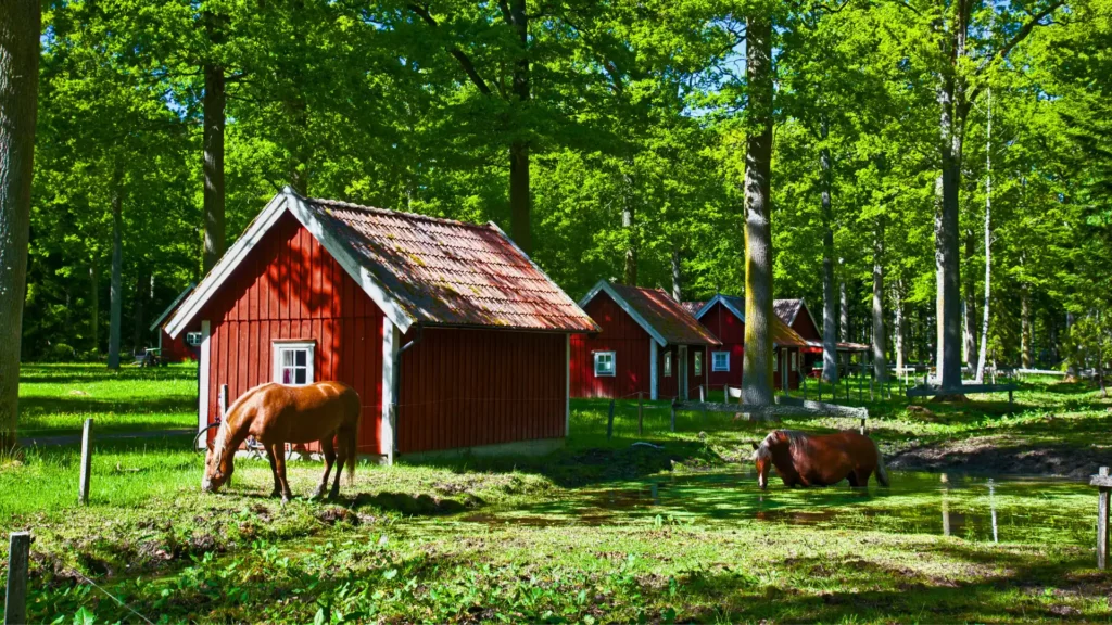 Summer Camps in Sweden