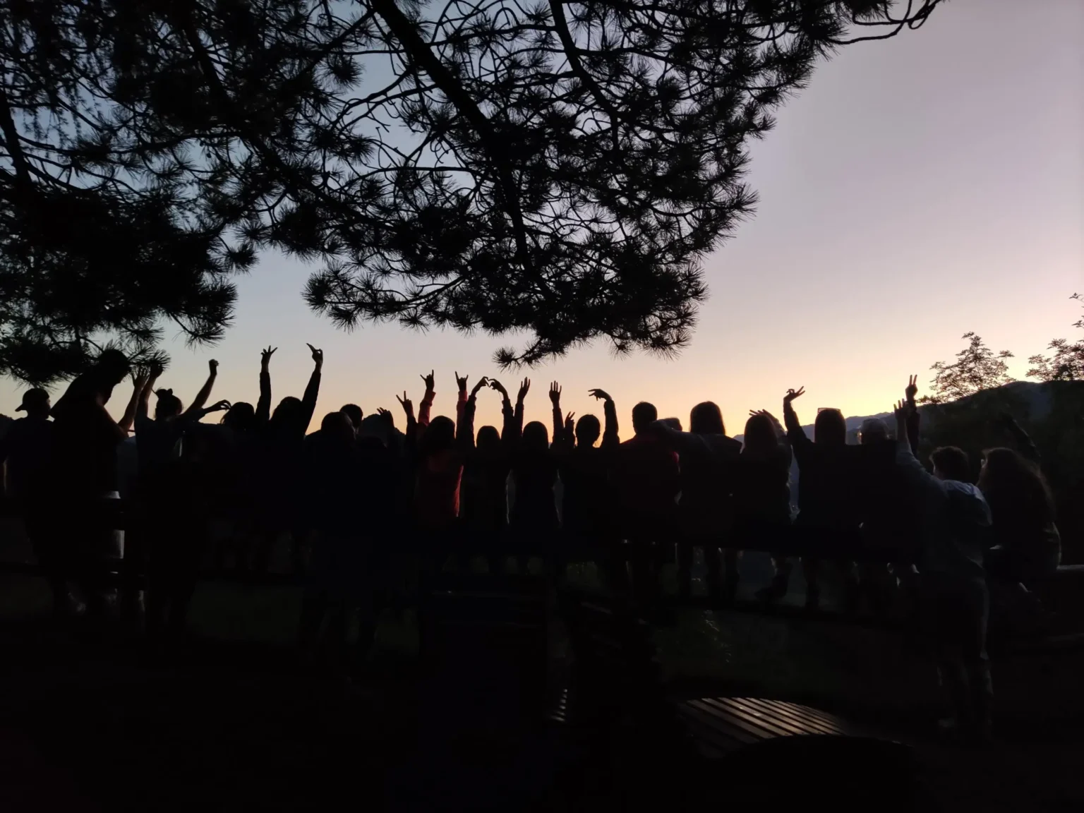 WCGallery International Camp Sancelso Overview 10 1536x1152