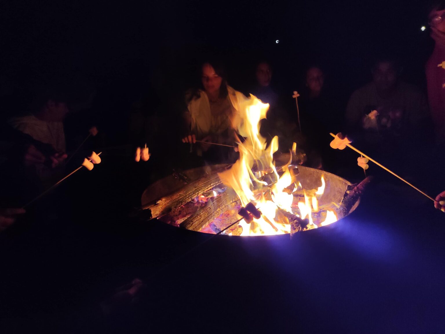 WCGallery International Camp Sancelso Overview 4 1536x1152