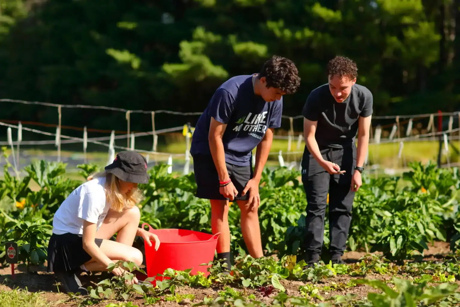 WCGallery Lakefield College School Overview 1 1536x1024