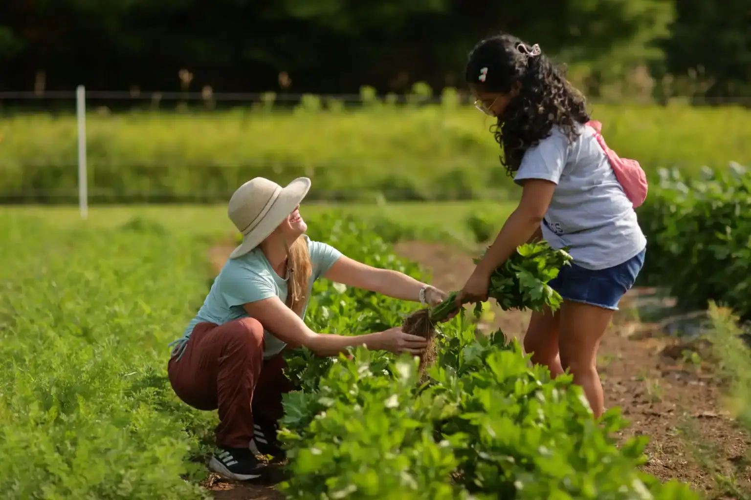 WCGallery Lakefield College School Overview 7 1536x1024