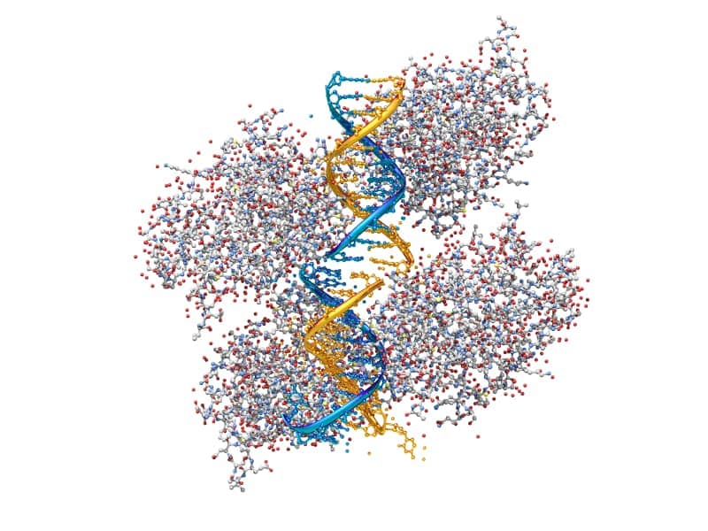 WCGallery Rosetta Institute Of Biomedical Research Overview 2026 3