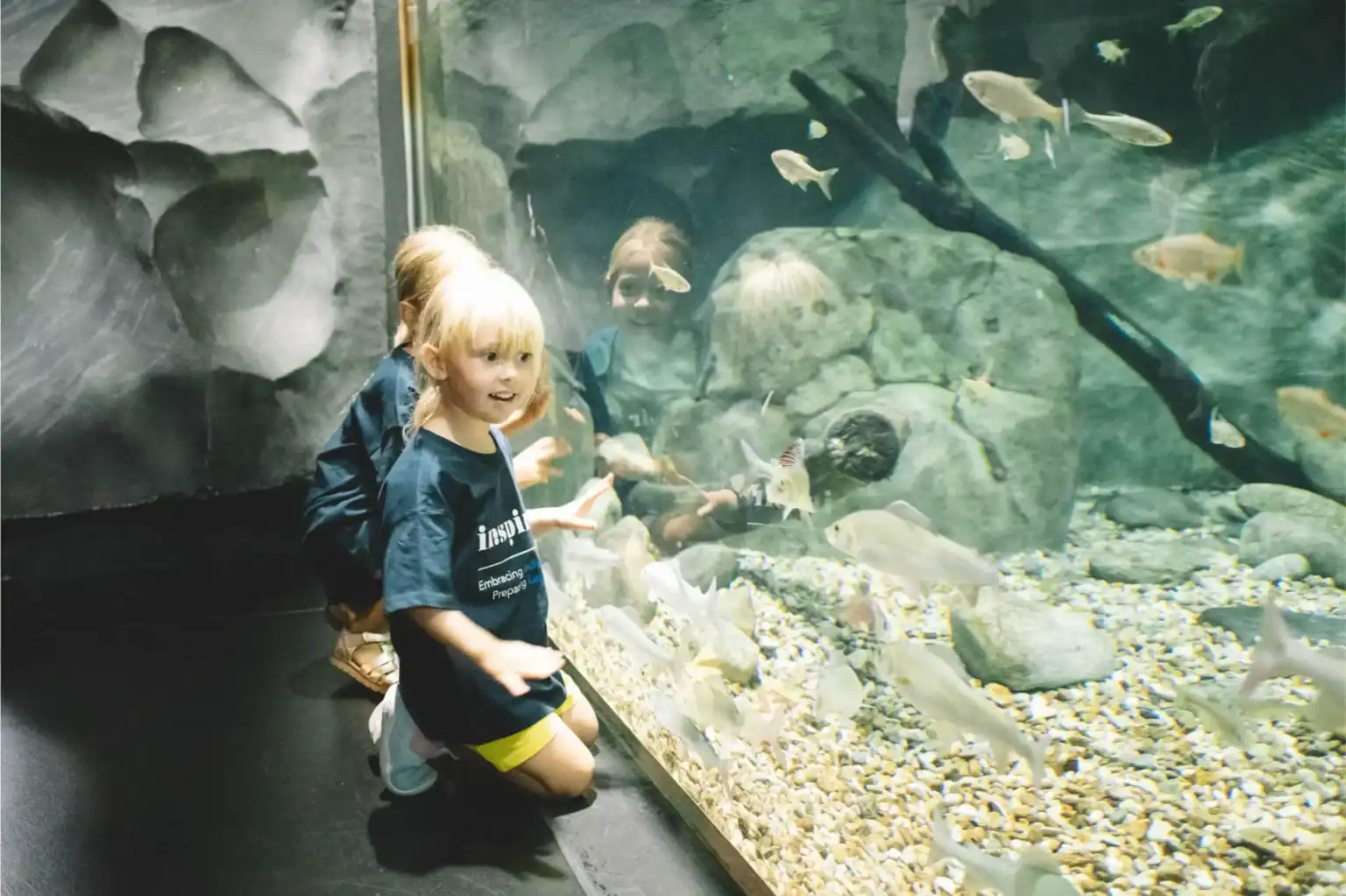 WCGallery Actividades de la Escuela Internacional de Verano de St George 1 1536x1023