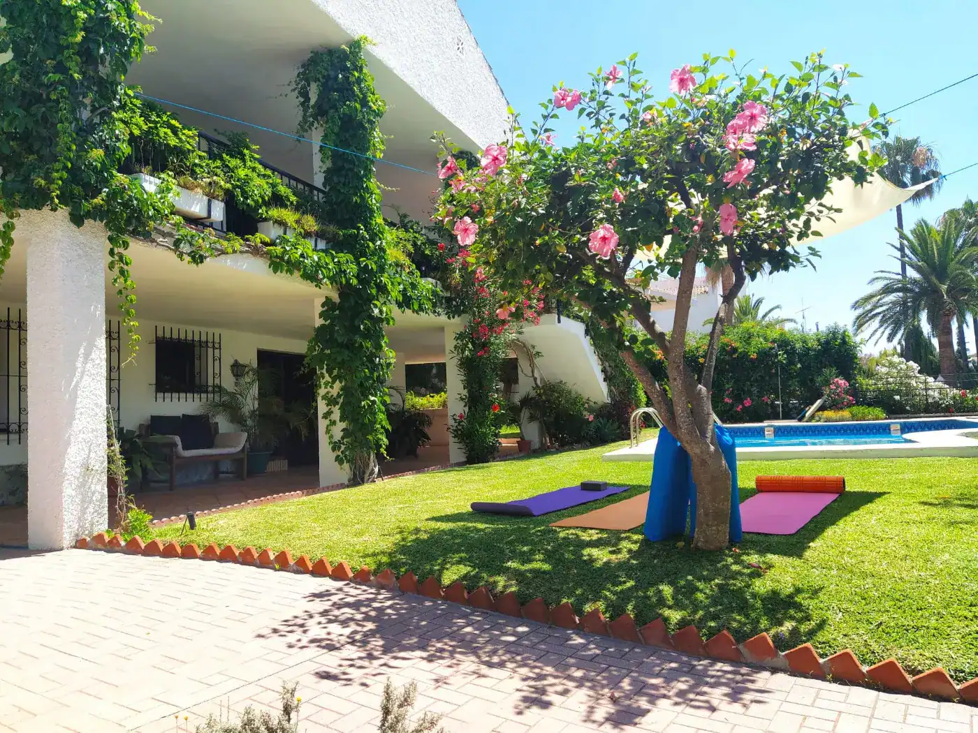 WCGallery Escuala Cervantes Accommodation 2026 3