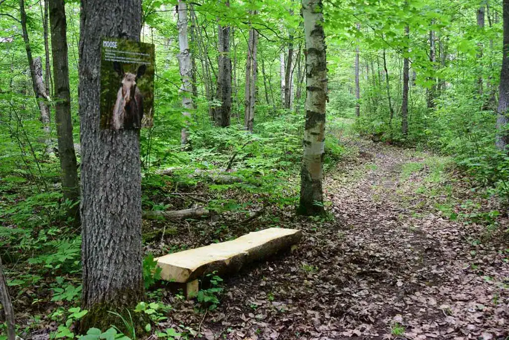 Naturetrails 1024x683 1