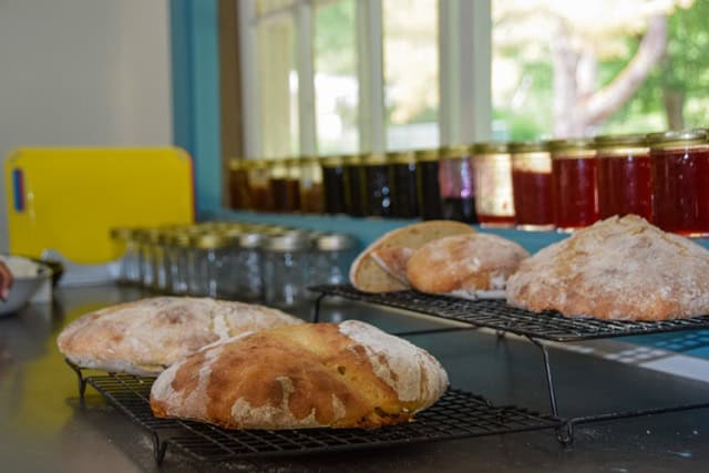 WCGallery Camp Medolark Activities 3