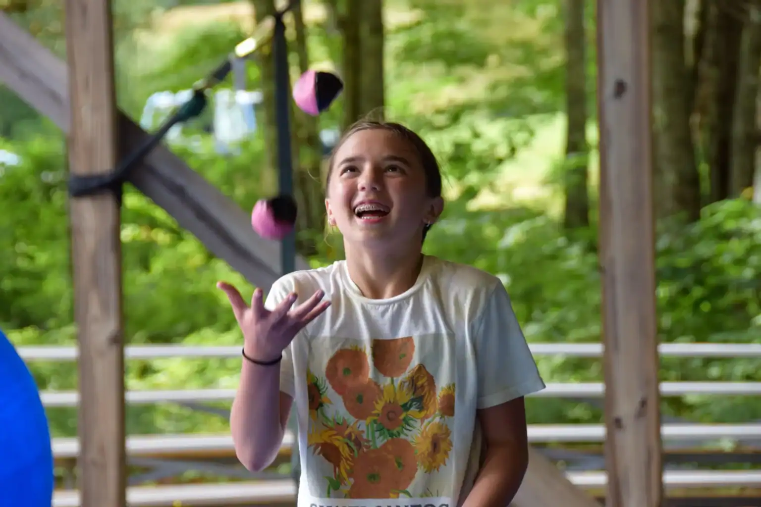 WCGallery Camp Medolark Overview 7 1536x1024