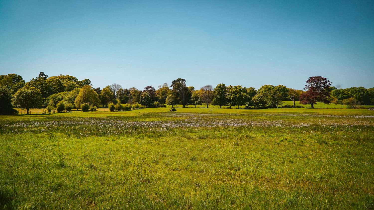 WCGallery EDUCamps Accommodation 7