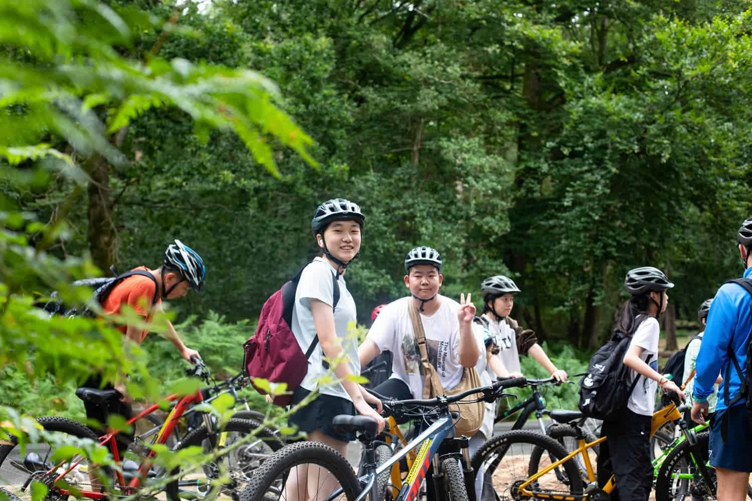 WCGallery EDUCamps Overview 3