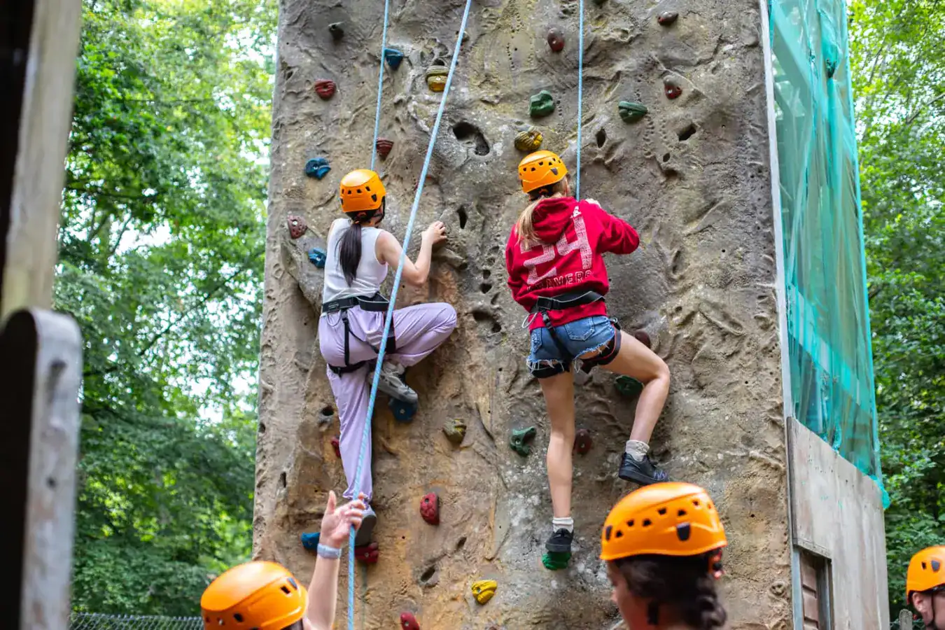 WCGallery EDUCamps Overview 7