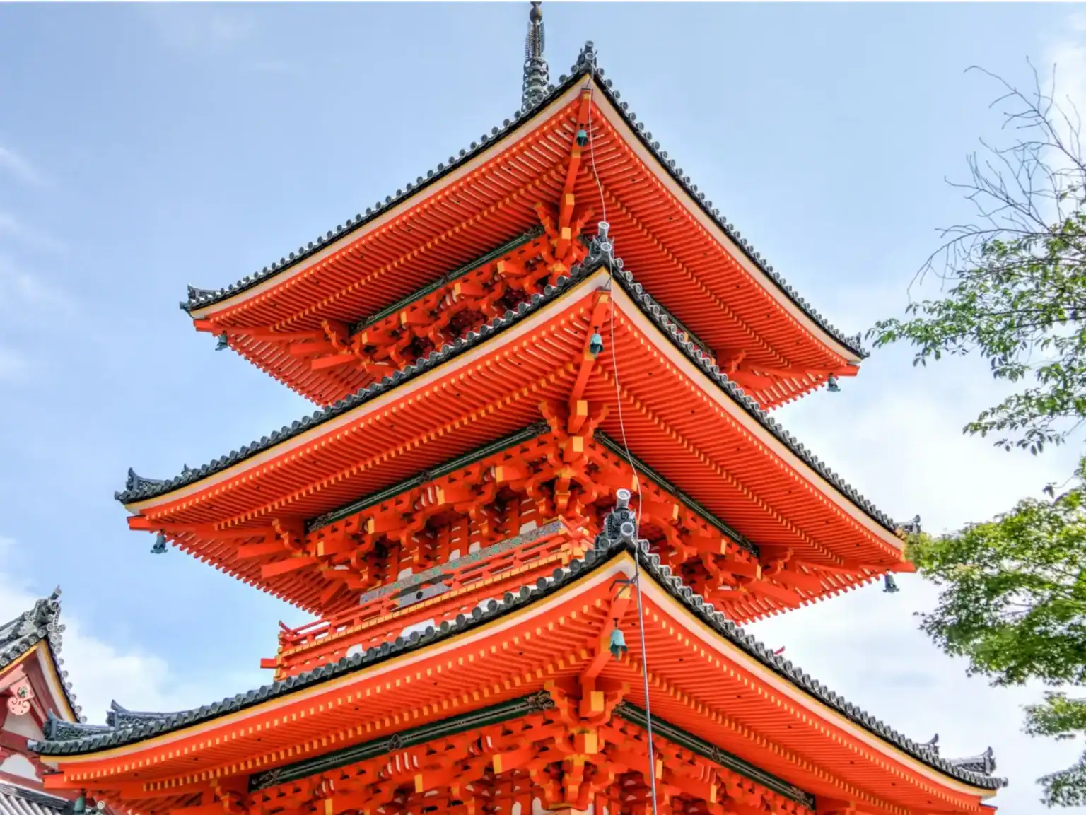 WCGallery EF Tokyo Activities 5 1536x1153