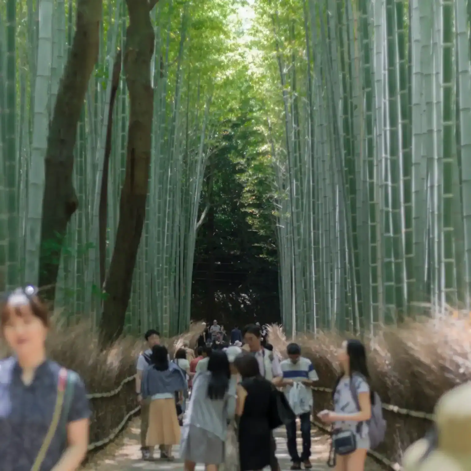 WCGallery EF Tokyo Activities 8 1536x1536