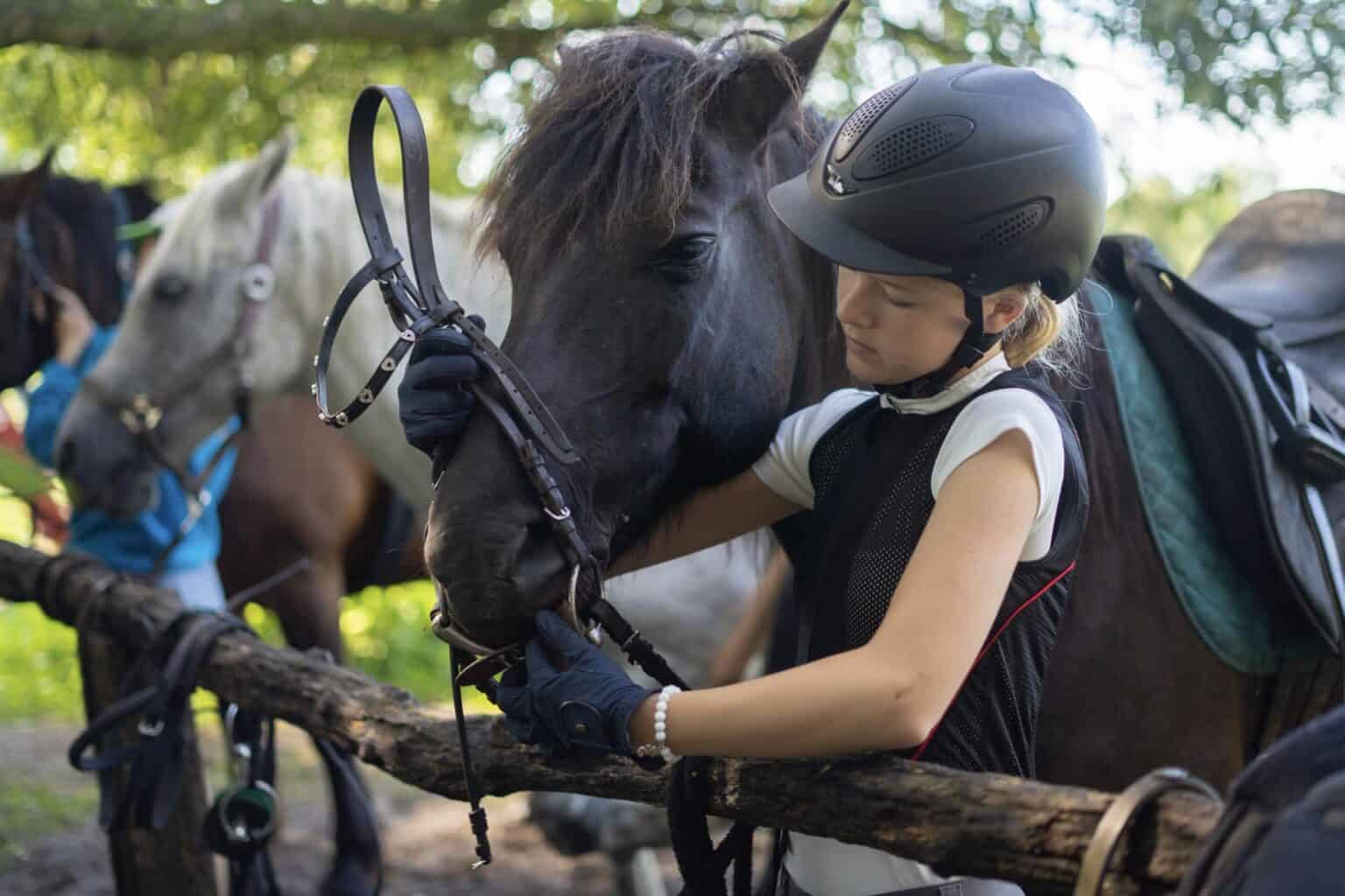 WCGallery Funside Balaton Activities 4 1536x1024