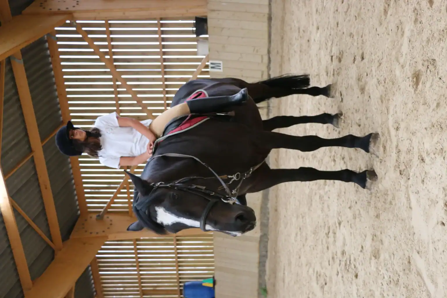 WSGallery Ecole Des Roches Activities 4 1536x1024