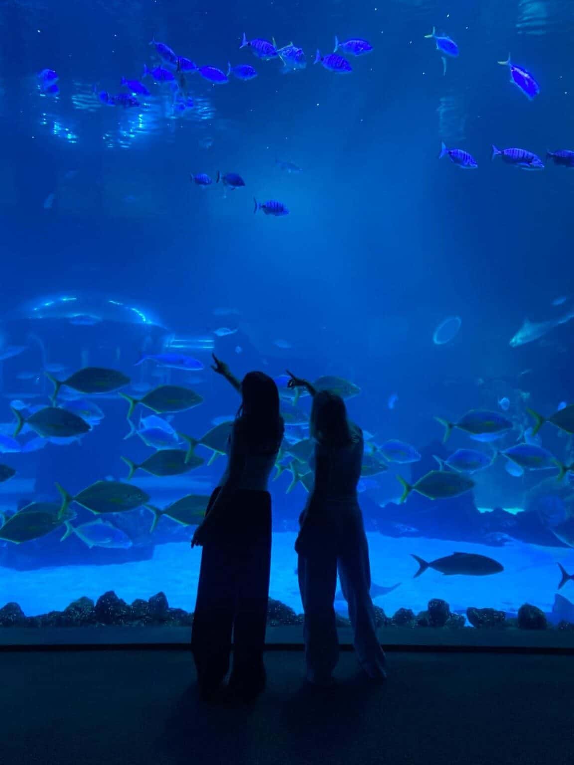 WCGallery LanguageCampus Activities 6 1 1152x1536